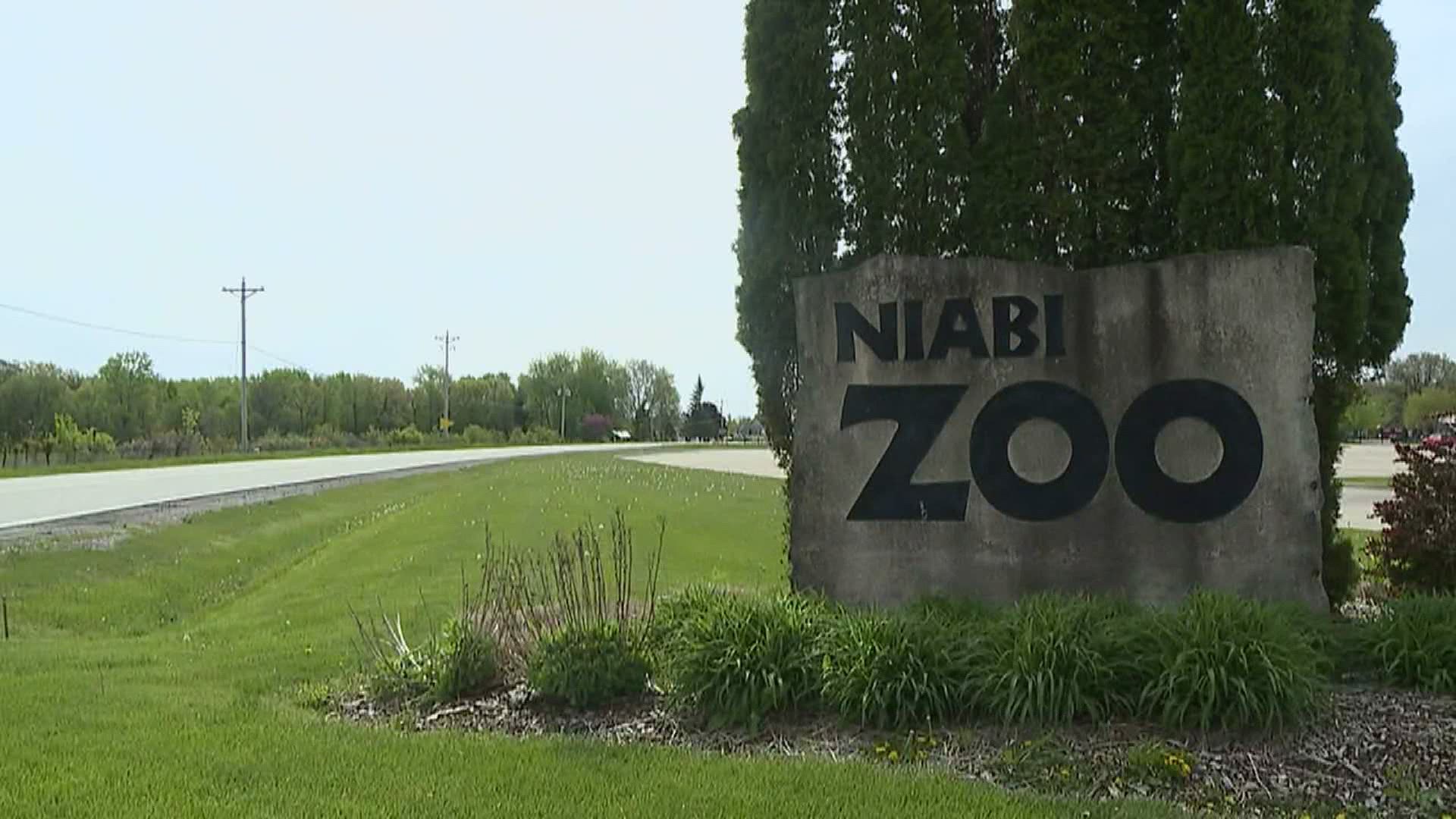 Niabi Zoo is announcing plans to reopen and Blues Fest has been canceled due to funding issues. People can still enjoy live music at the Bettendorf Spring Concert.