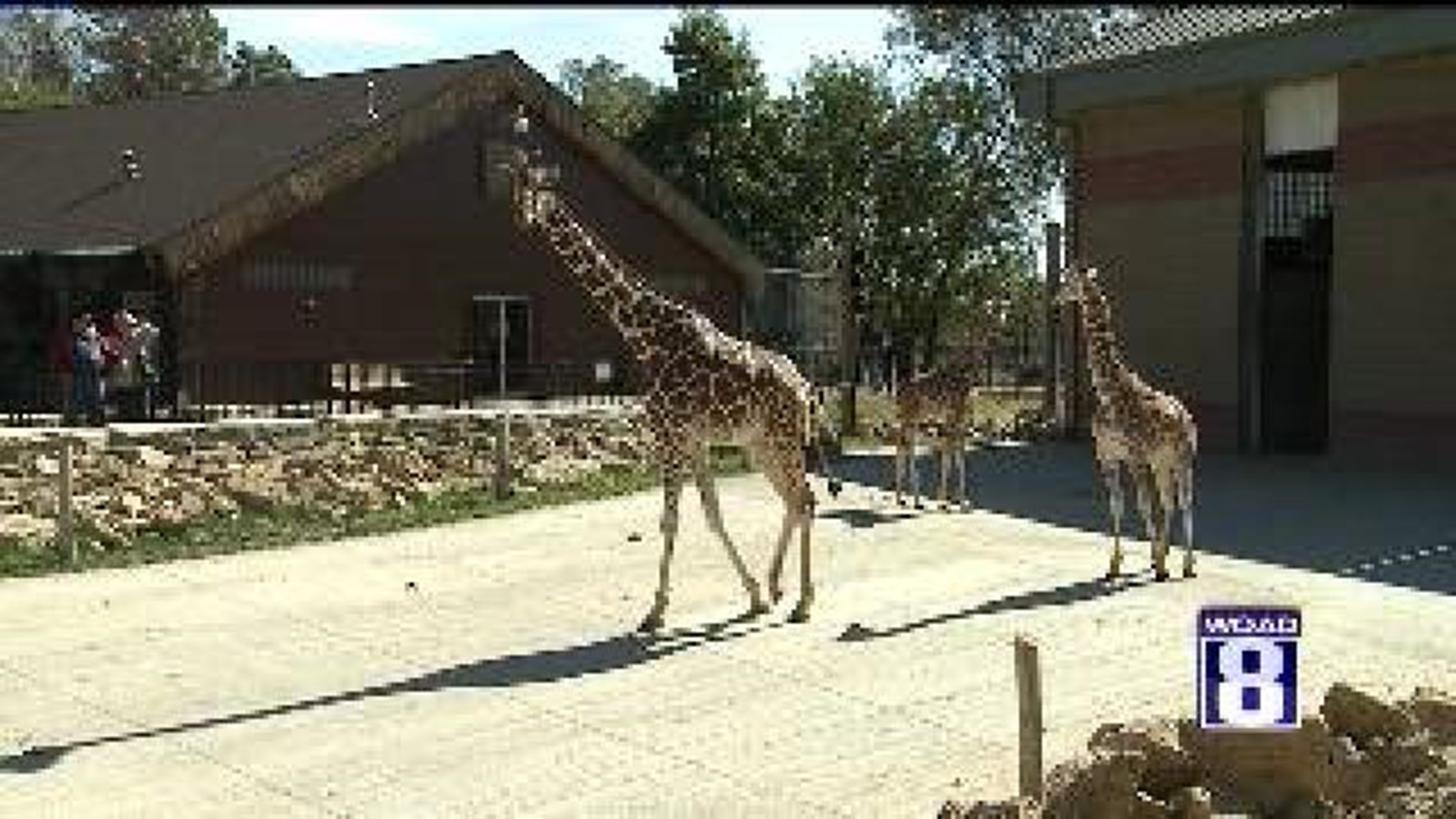 Niabi Zoo opens for its 50th season