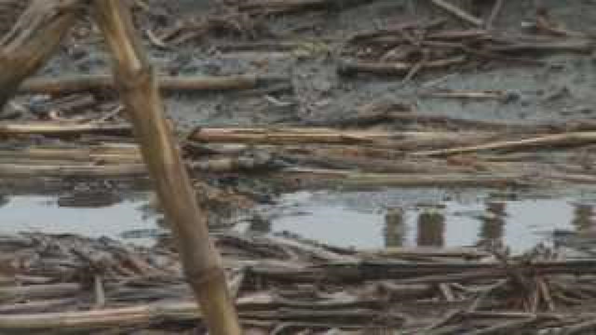 Drought officially ends in parts of Knox County