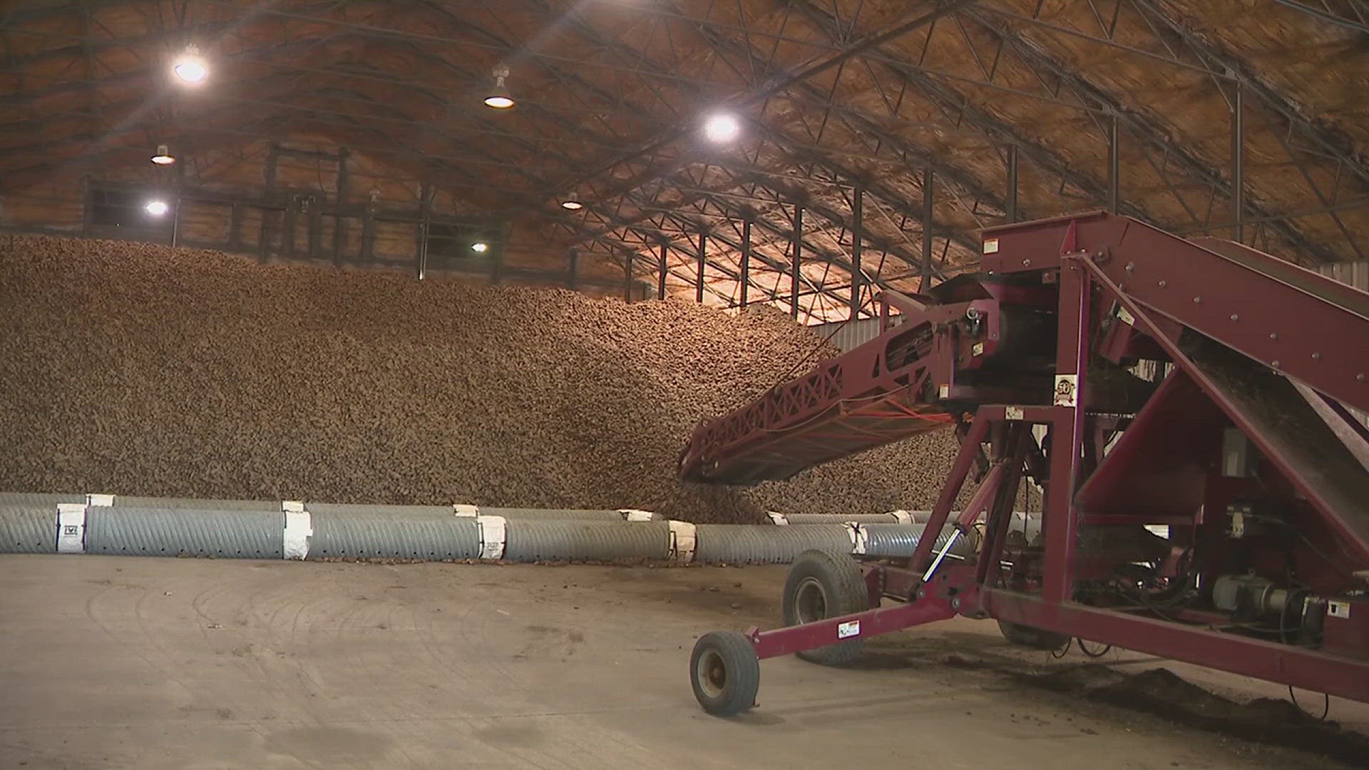 Neumiller Farms grows potatoes that go into chips, salads and soups across the United States.