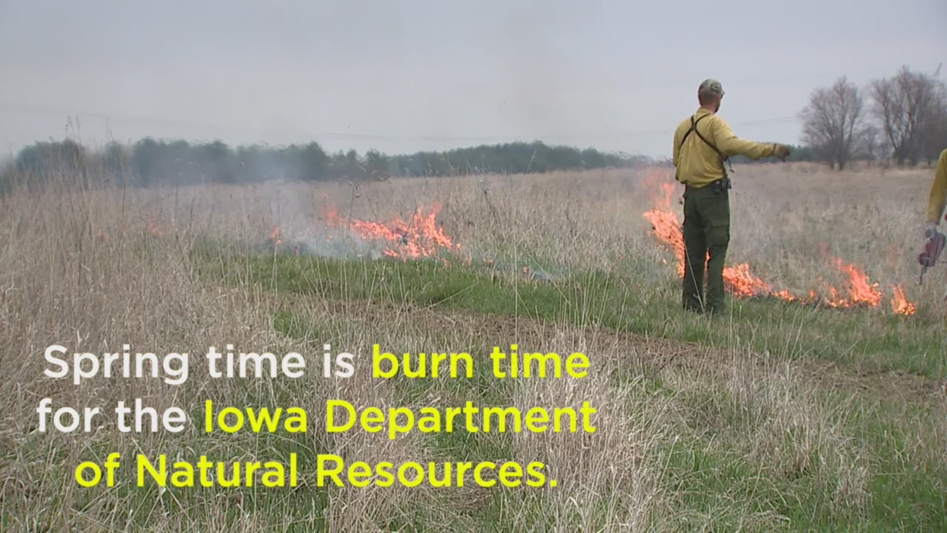 Spring means its time for DNR to begin controlled burns.