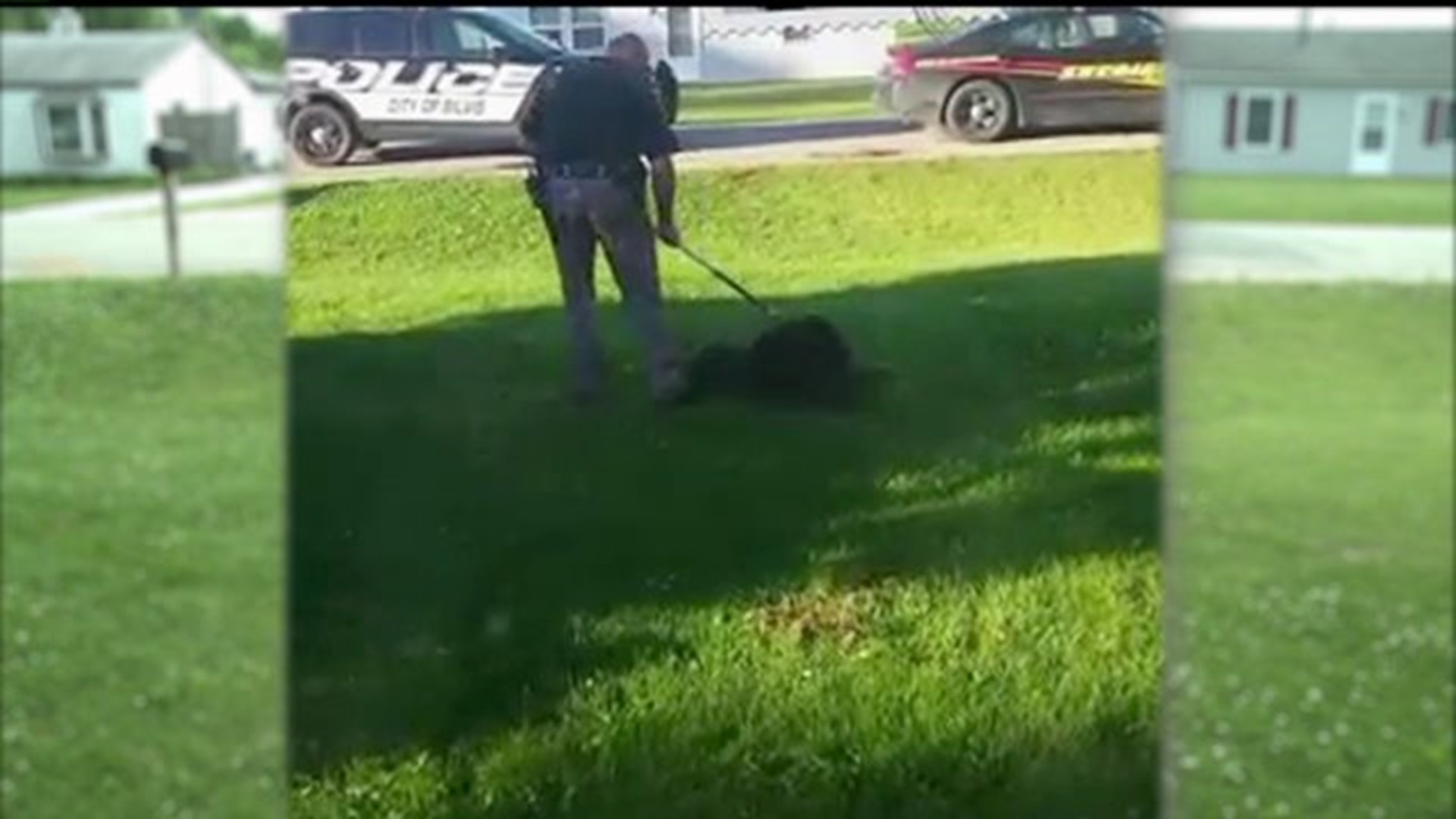 Dog owner talks about pet that was shot by deputy
