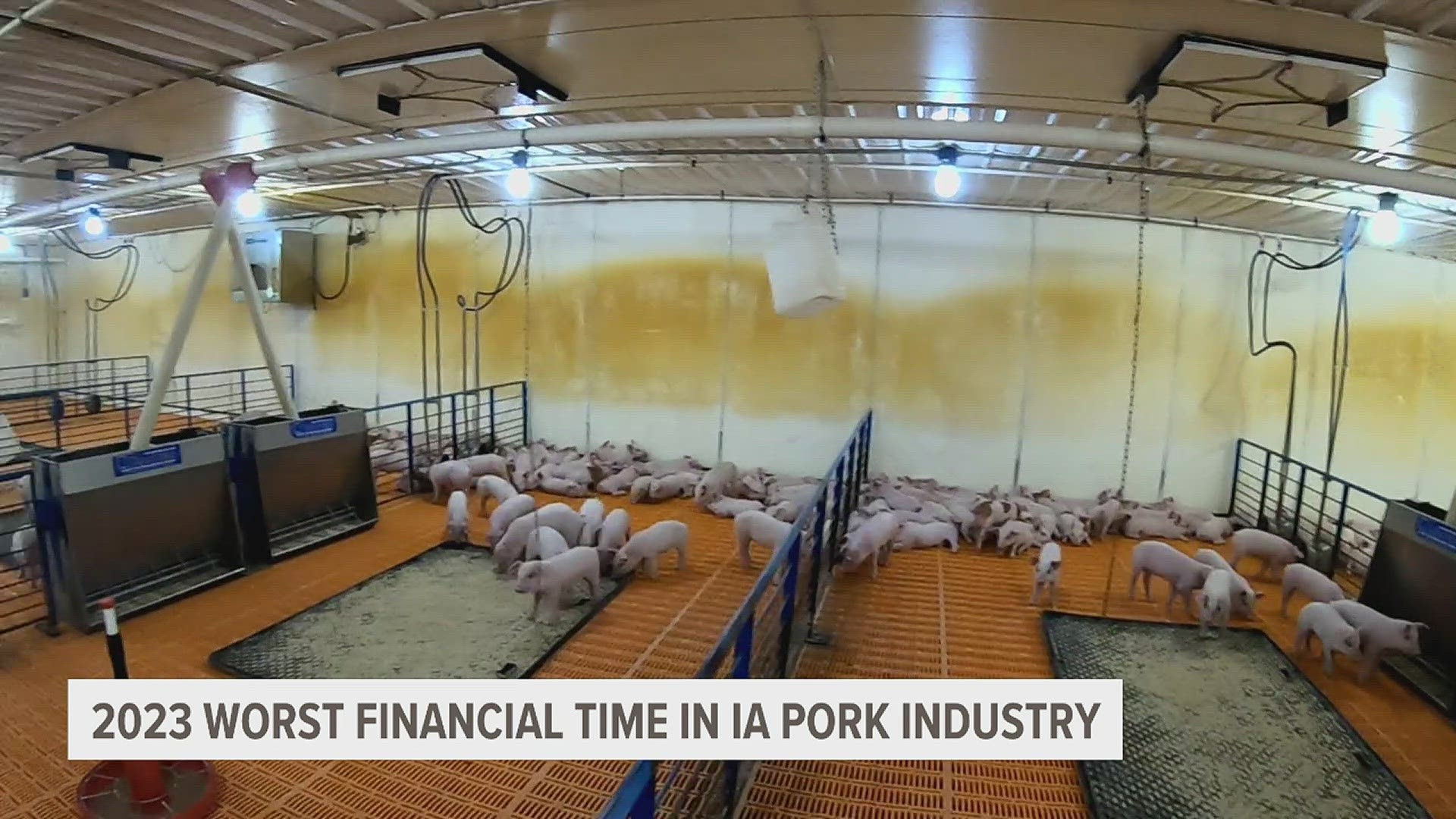 On average, Iowa pork producers lost $32 dollars per hog last year. That's $5 more in losses compared to 1998, the previous worst year on record.