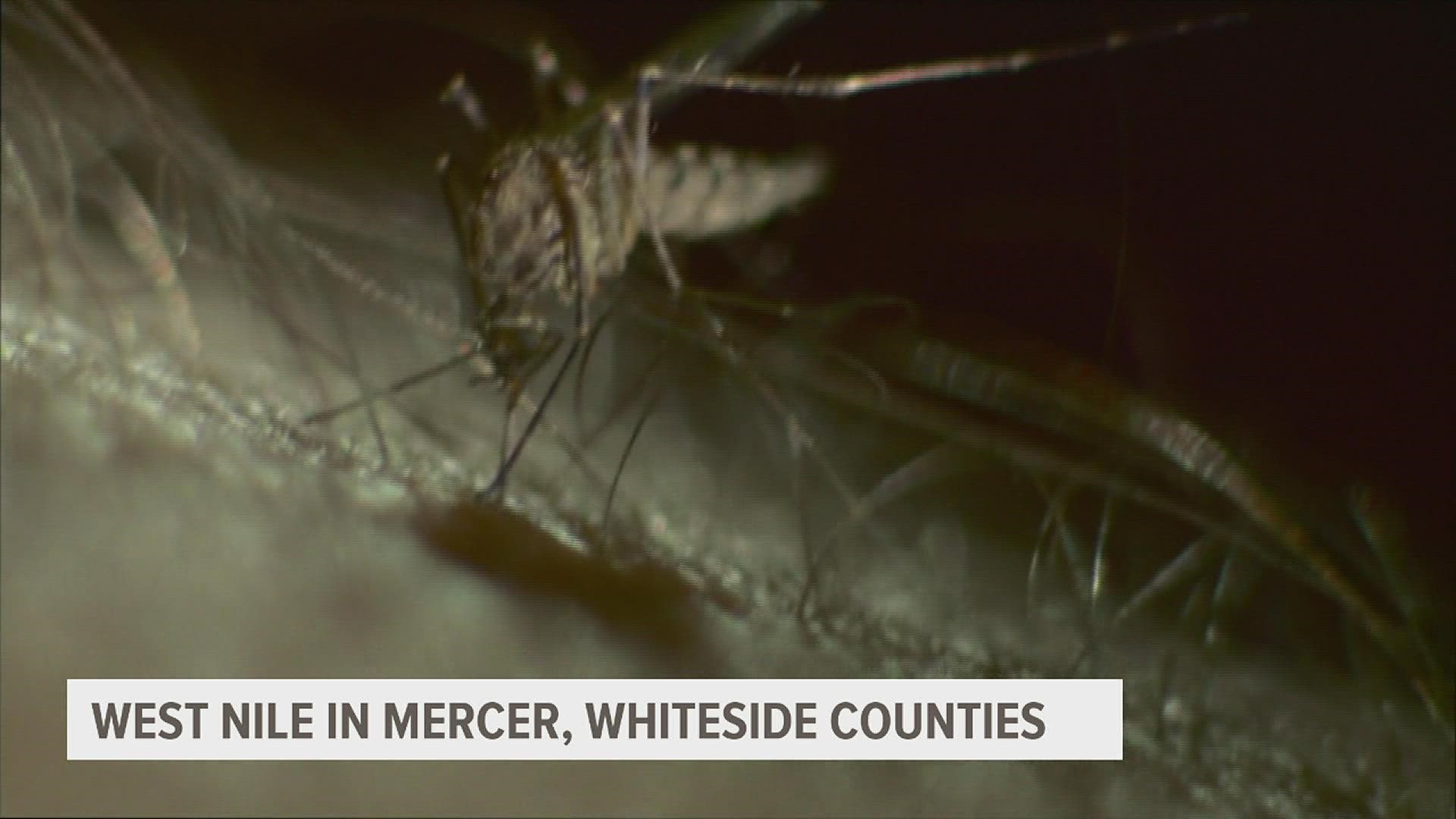 Local health officials have found West Nile virus in mosquitoes near Sterling in Whiteside County and in Mercer County.