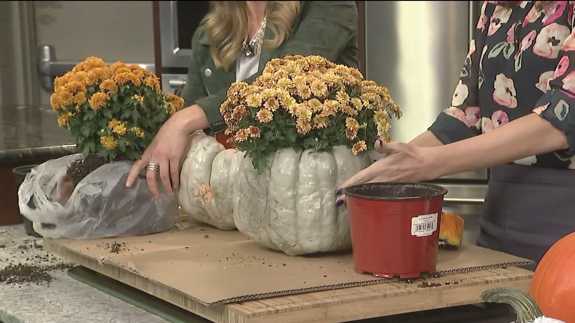 News 8 Trio: 3 ways to decorate with pumpkins