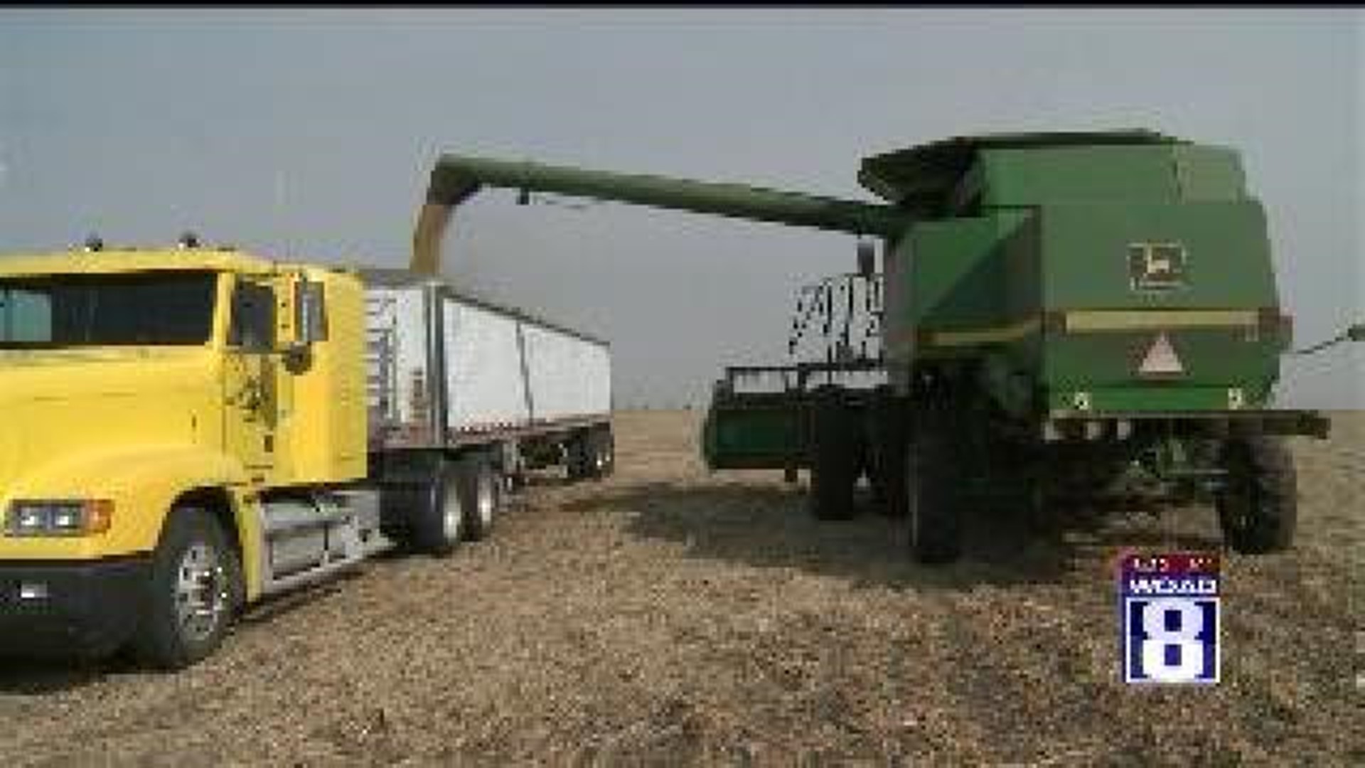 Ag in the AM: Soybean Yields Higher
