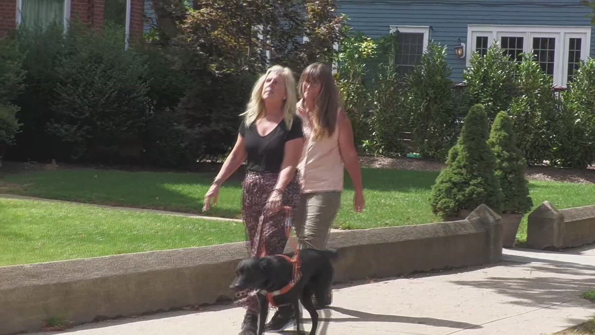 A nonprofit in Pennsylvania is celebrating National Guide Dog Month by showing off how these service dogs help blind Americans.