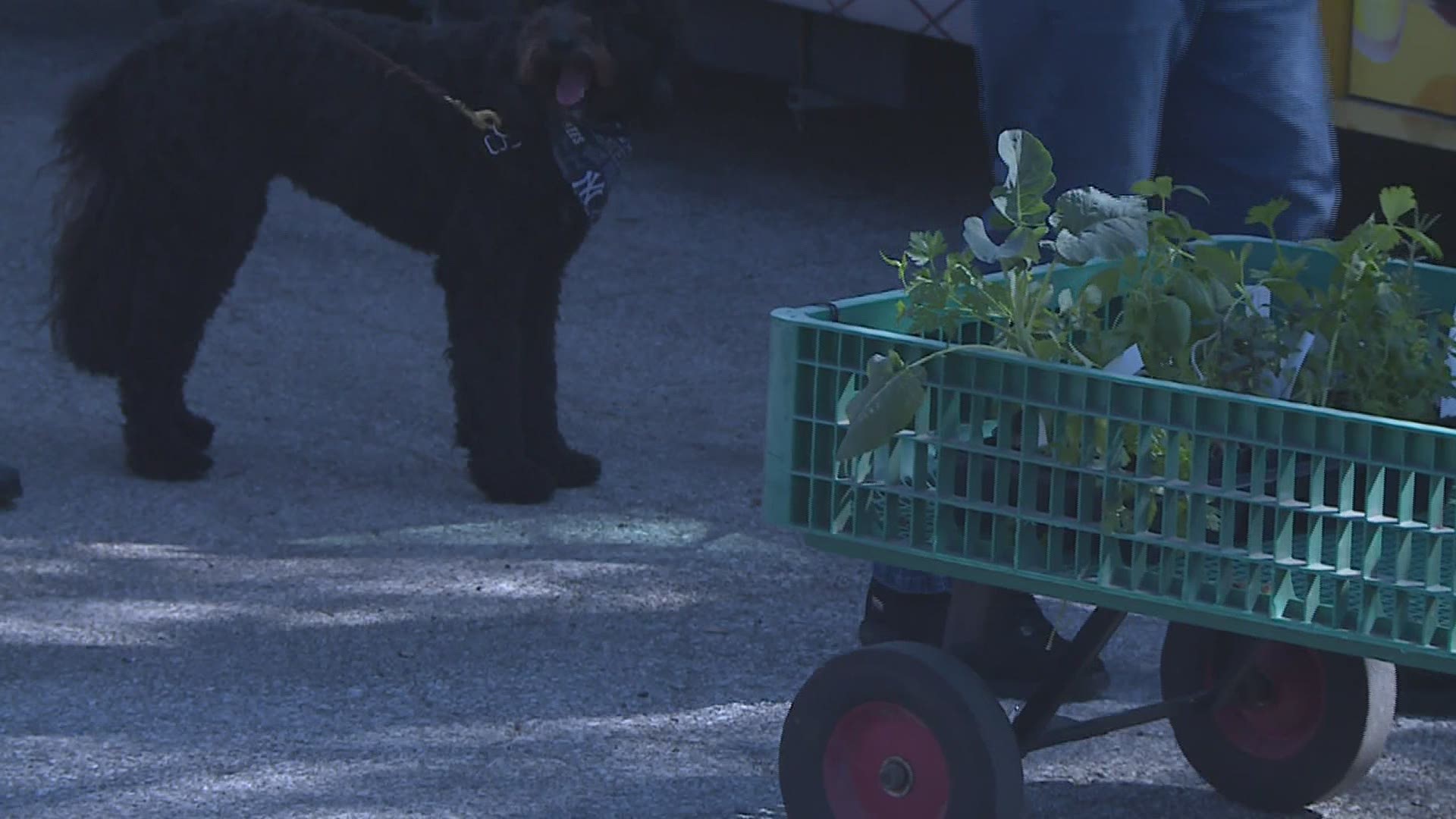 The farmers market drew a huge crowd in downtown Davenport for its opening weekend.