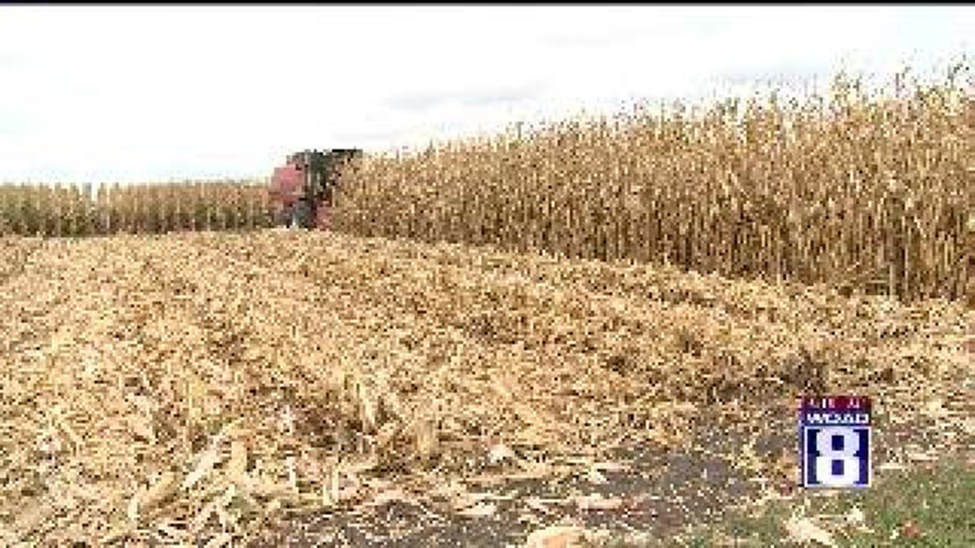 Ag in the AM: Scott County Farmland Among the Priciest