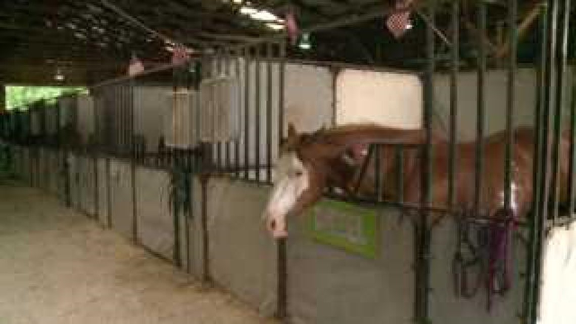 Horse slaughterhouse in Iowa