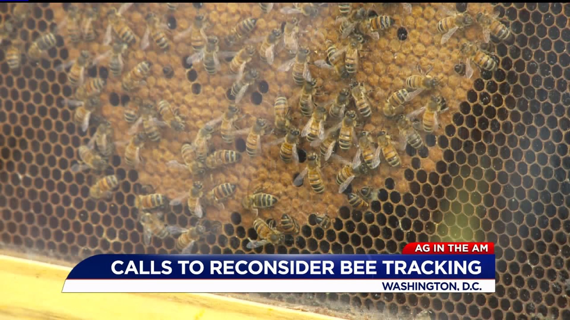 USDA end tracking of honeybee population