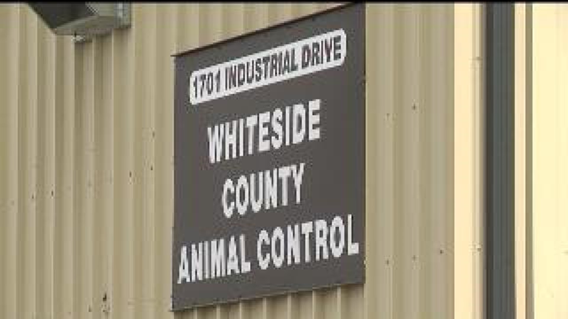 Animal control defended after dog found dead