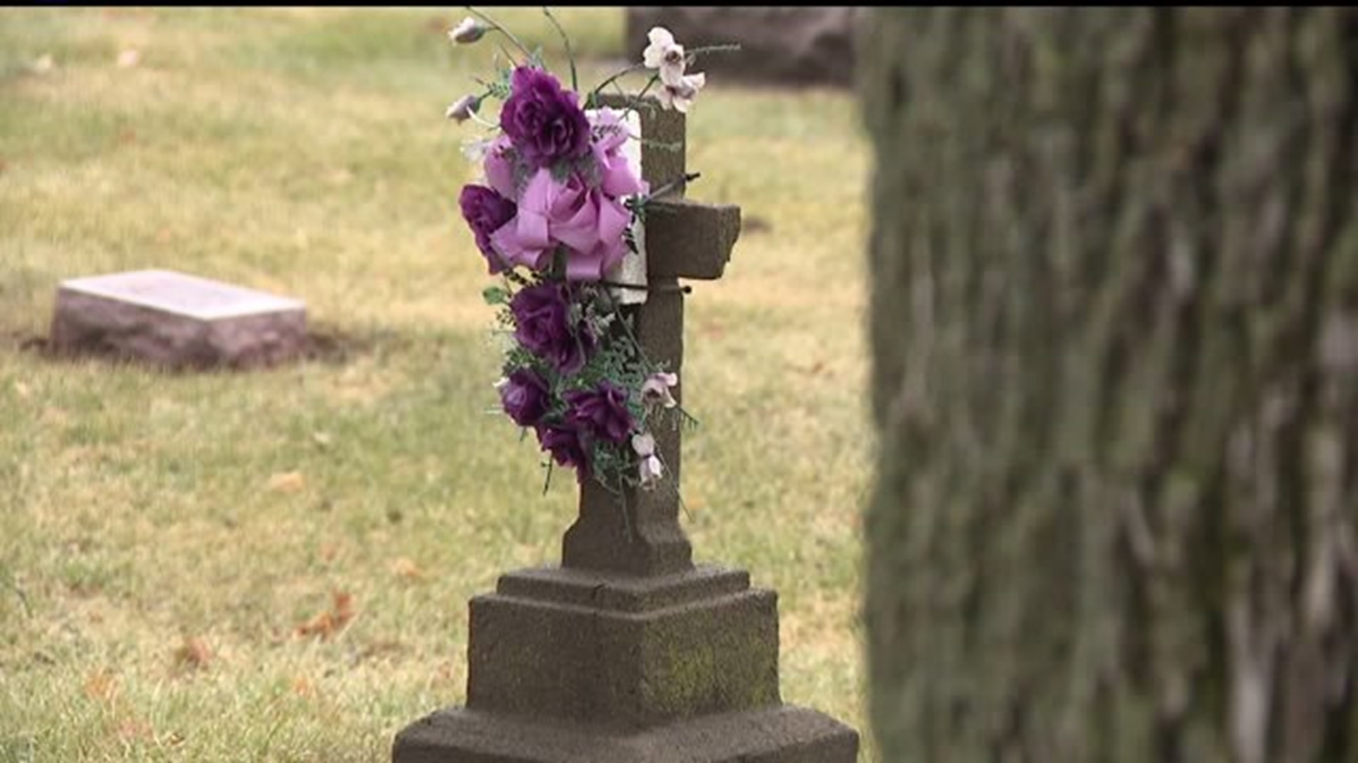 East Moline looks to prohibit backyard burials