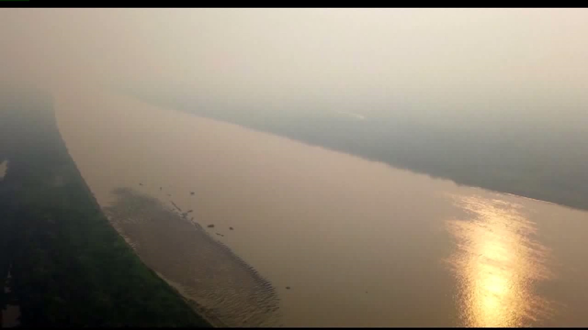 Amazon rainforest, the Earth`s lungs, burning