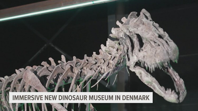 American dinosaur bones visiting Denmark in brand-new museum