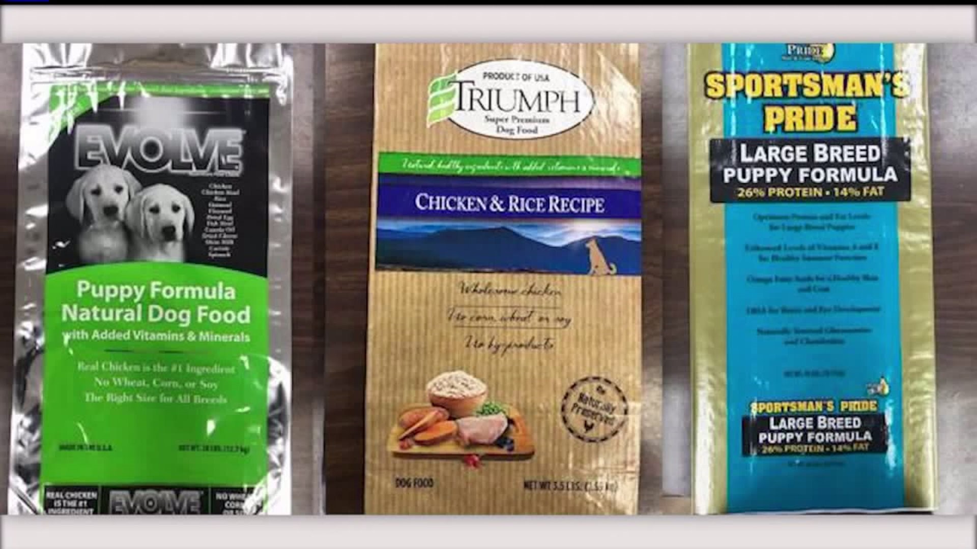 Can Dog Food Cause Kidney Failure