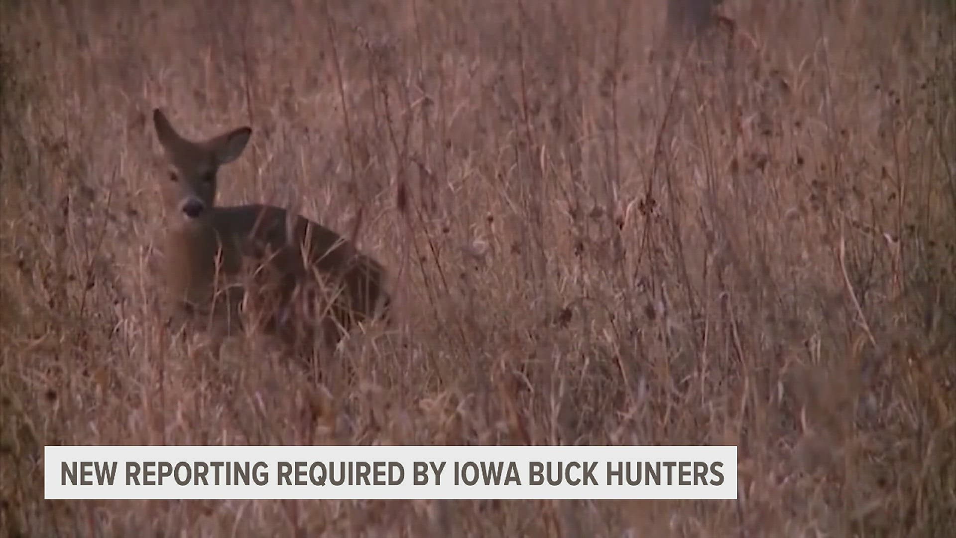 Jace Elliot, a state deer biologist with the Iowa DNR, explains why these changes were made.