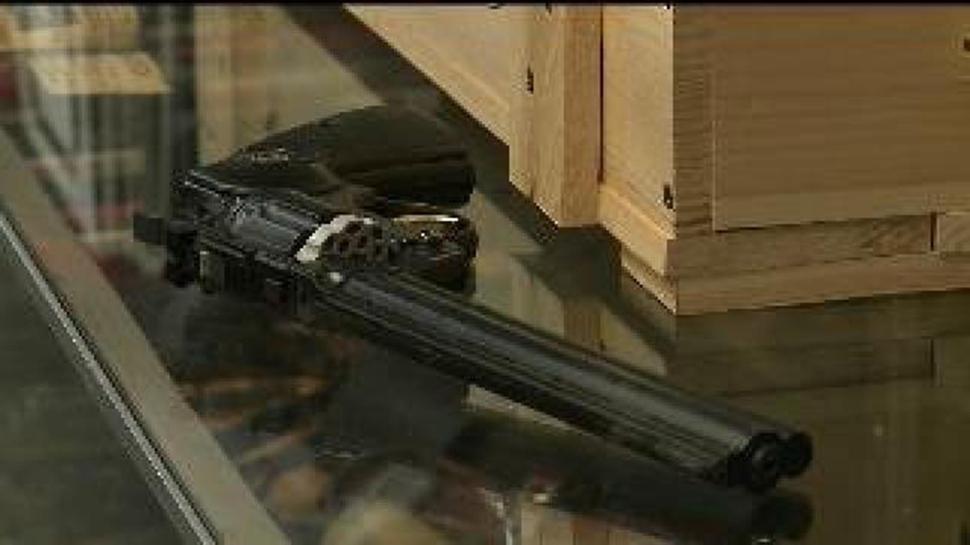 Burlington hosts public hearing on airgun ordinance