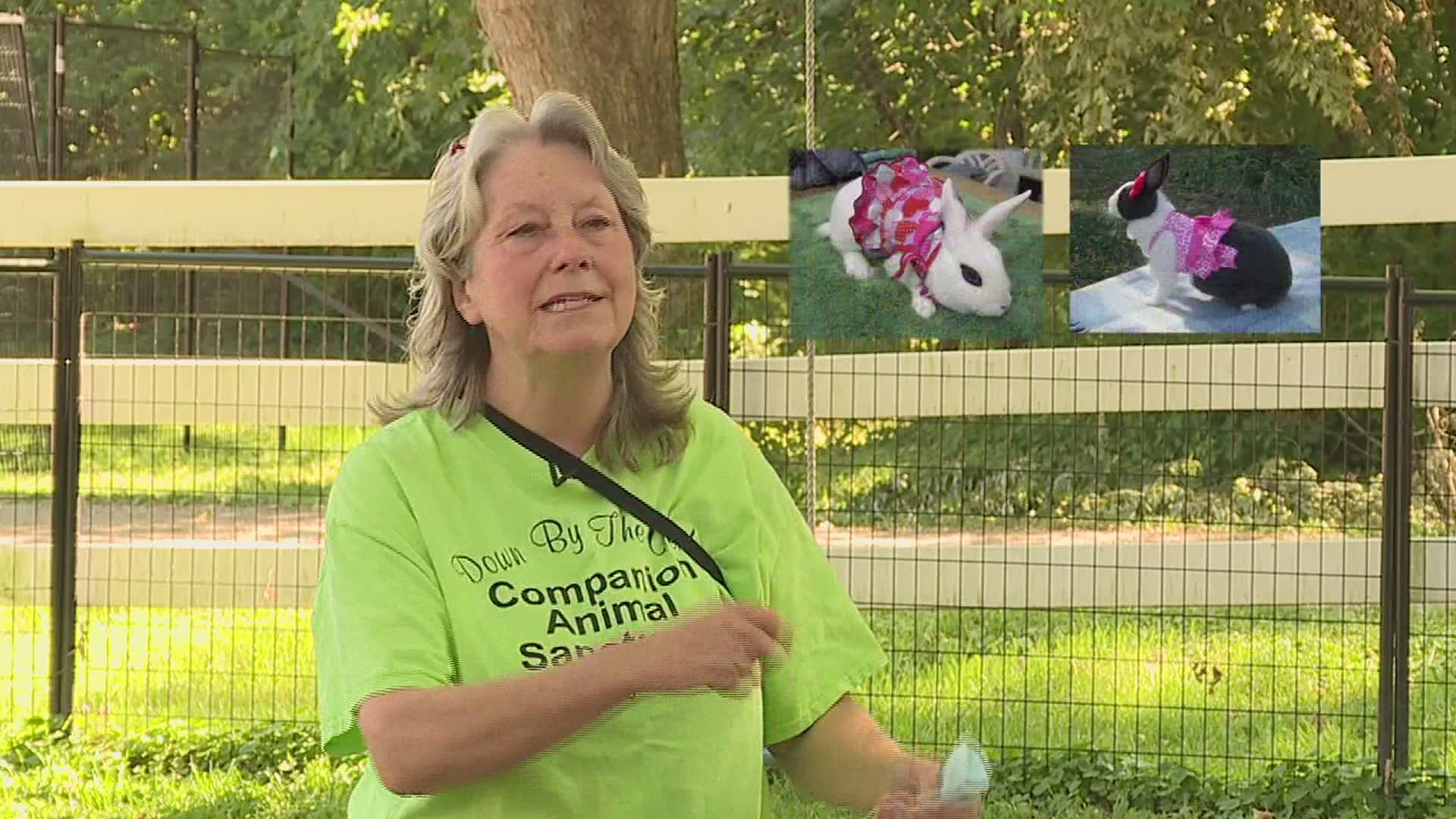 She is "Multiplying Good" by countering cruelty with kindness... through animals.