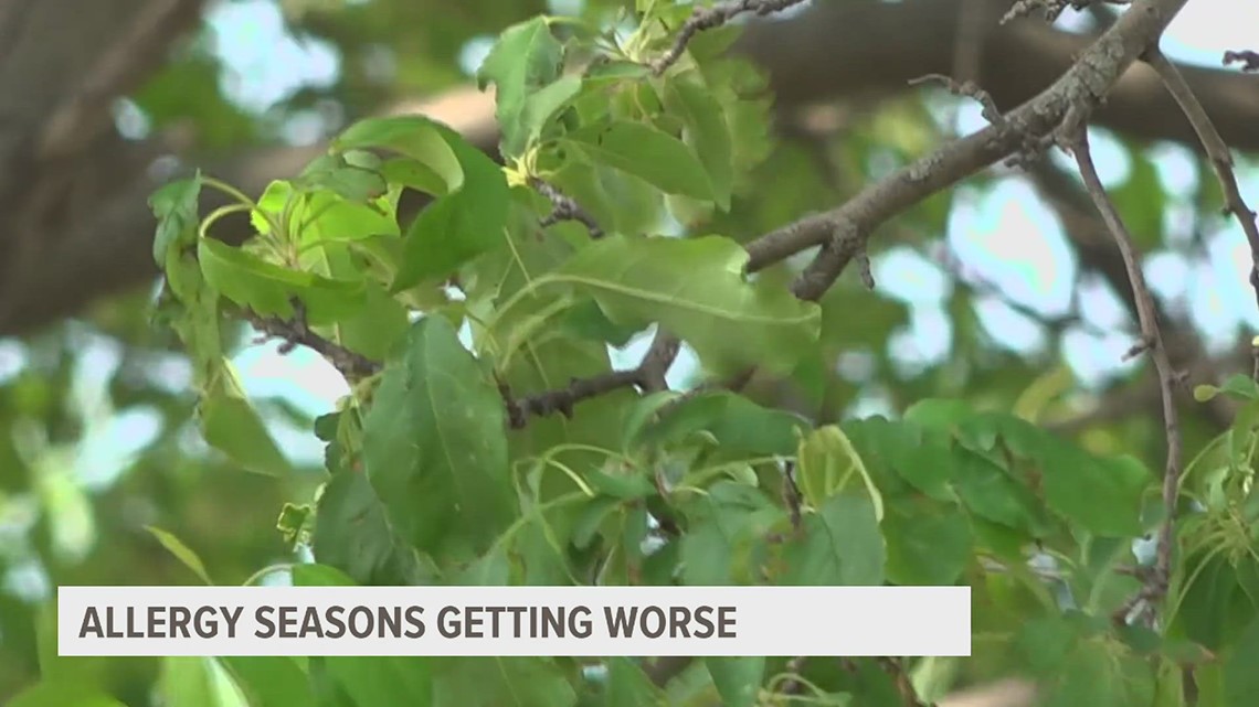 Warmer temperatures means summer allergies are here.