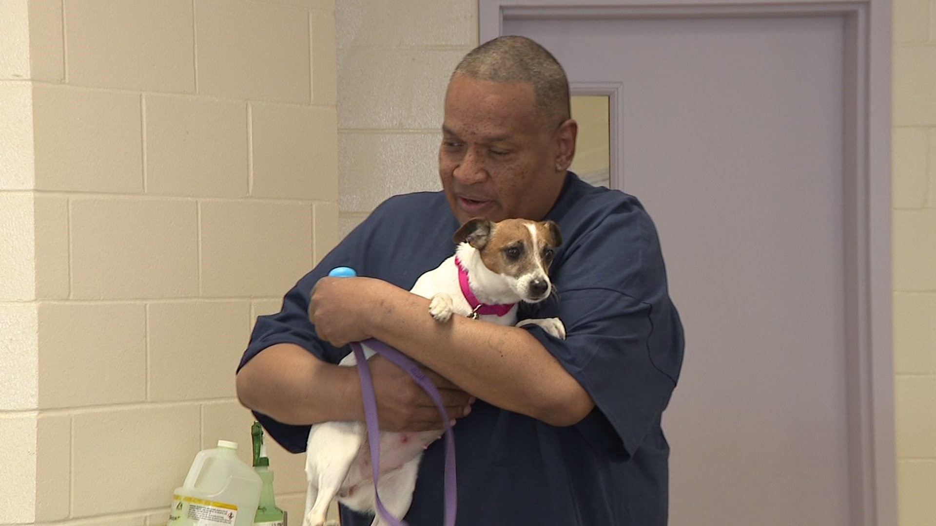 Dogs find new home in prison