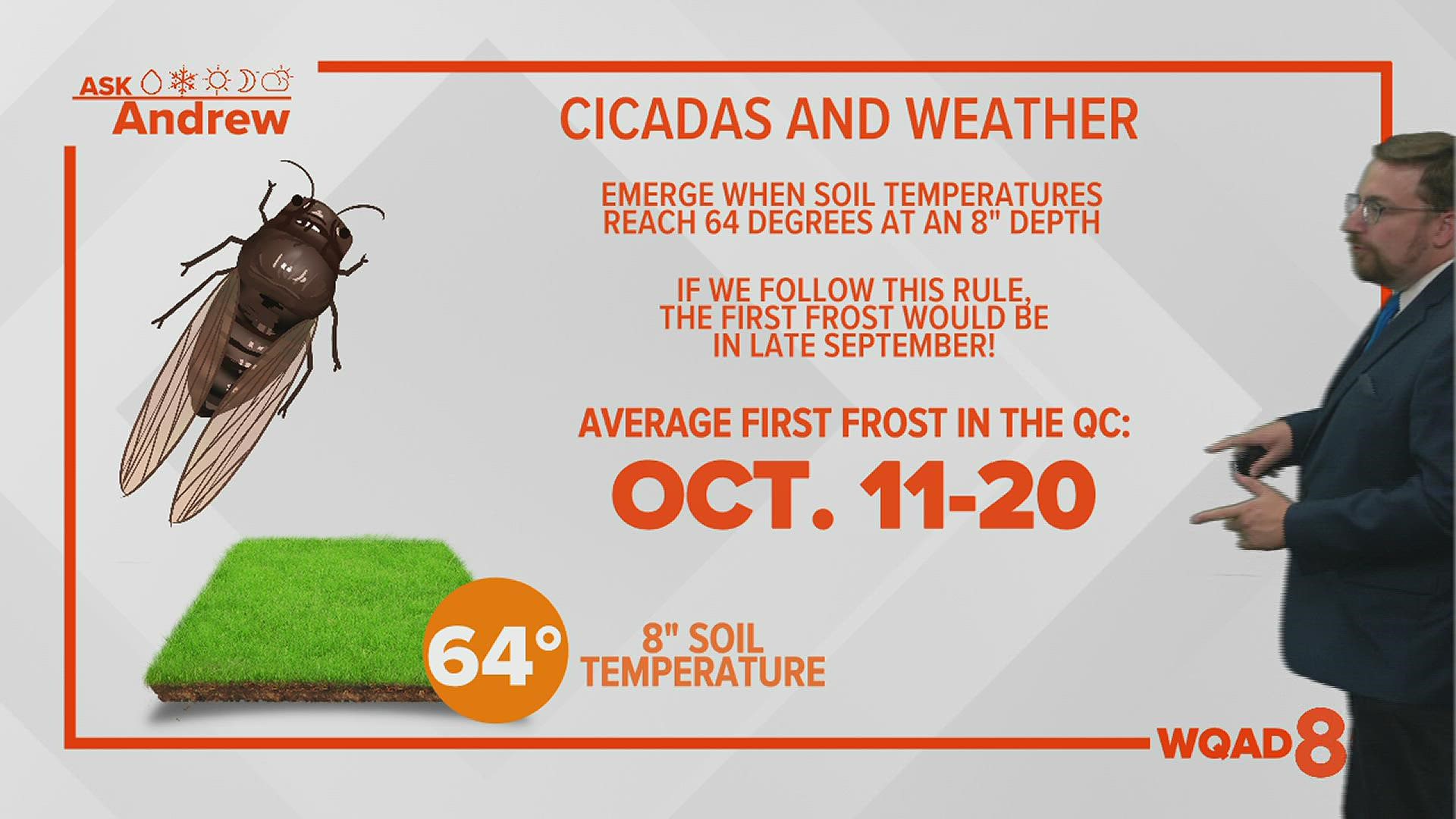 The loudest insect in the world has awoken. Meteorologist Andrew Stutzke explains why it isn't a good indication of when we'll see the first frost of the season.