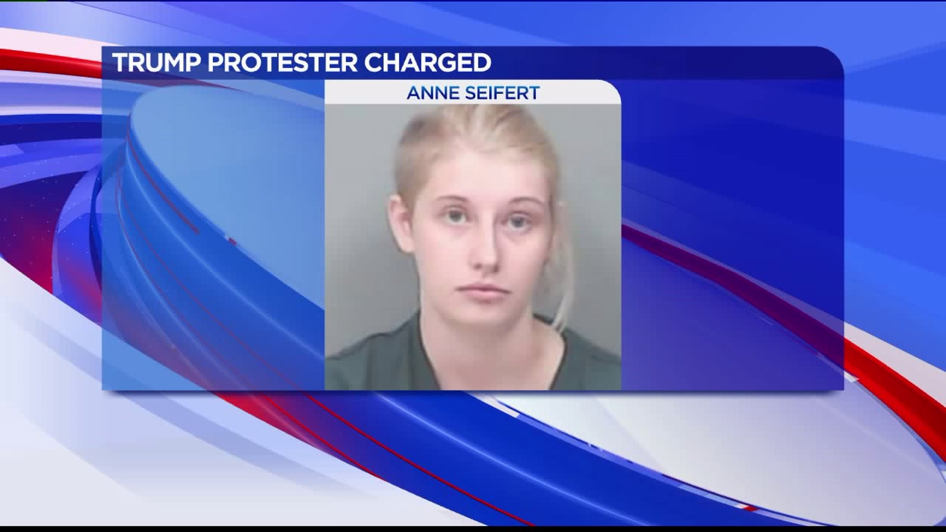 Protester charged with assault