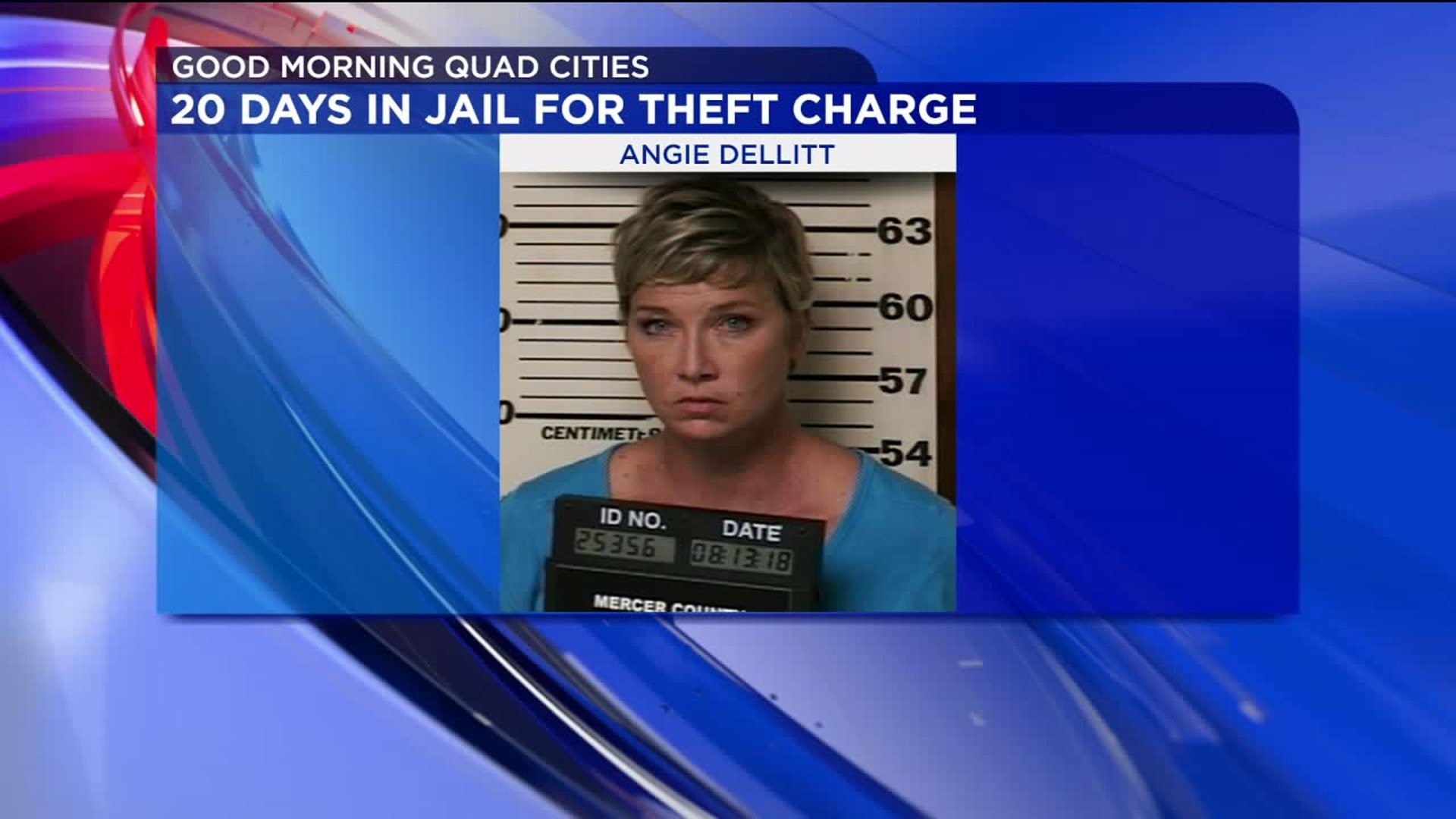 20 Days in Jail For Theft Charge
