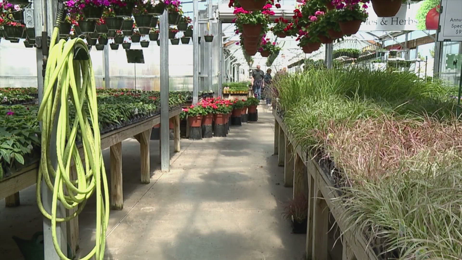 wqad.com - Alec Doxsee - Clinton County sued over wind turbine restrictions