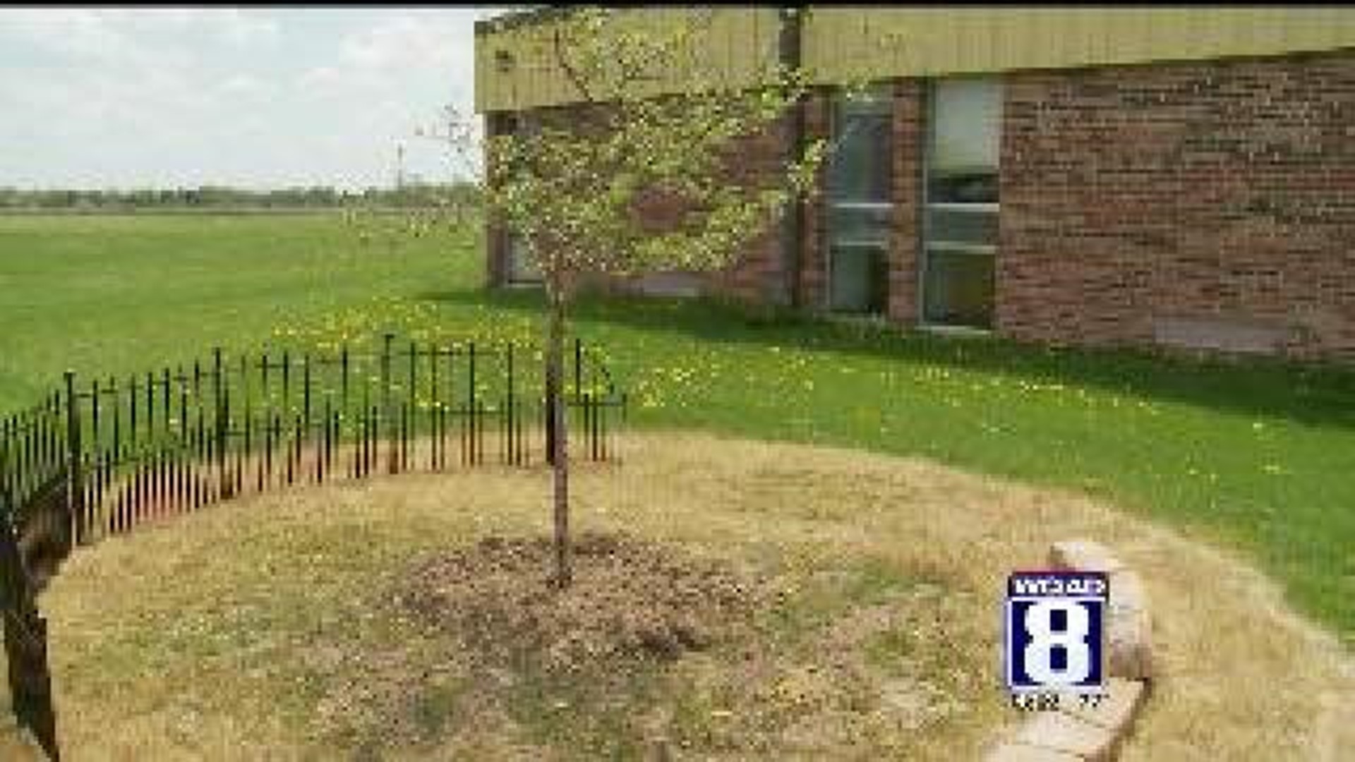 Students plant tree to remember classmate