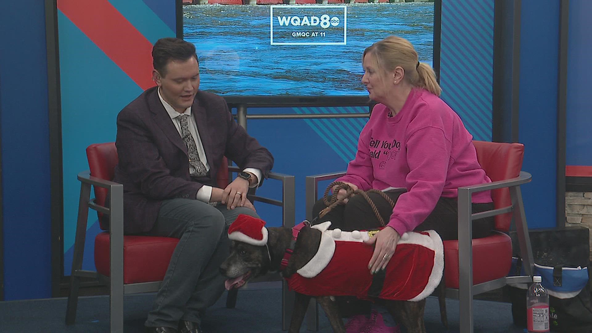 Patti McRae with the Quad City Animal Welfare Center joins us with Marnie, our pet of the week! Find out how you can help the Quad City Animal Welfare Center.