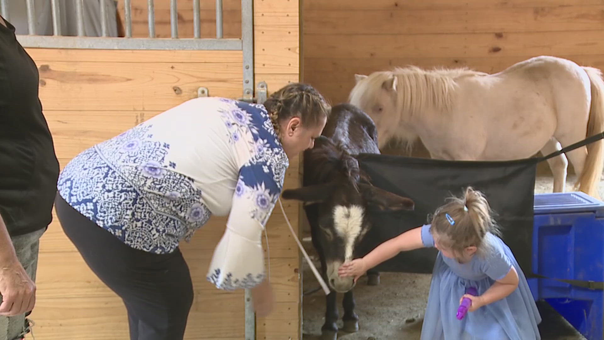 Excelsior Ranch in Princeton offers animal-assisted therapy, using horses and donkeys to help veterans, first responders and other trauma survivors heal.