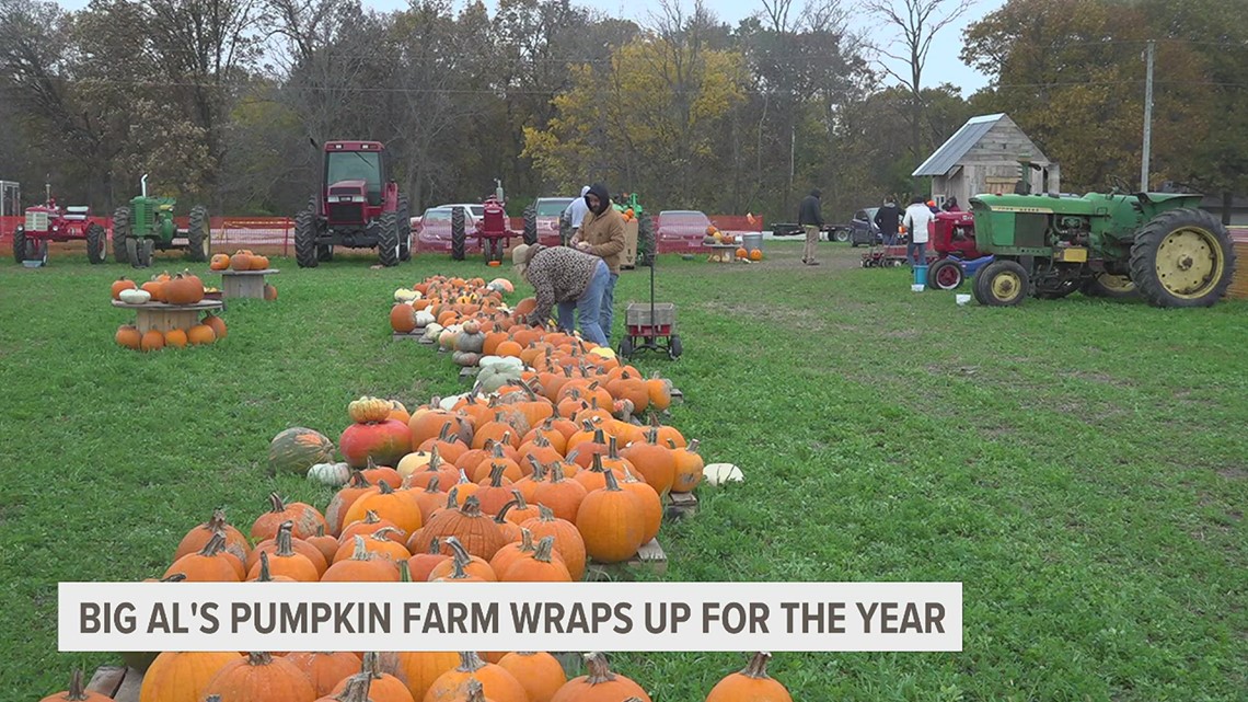 Sherrard pumpkin picking farm finds success after first season | wqad.com