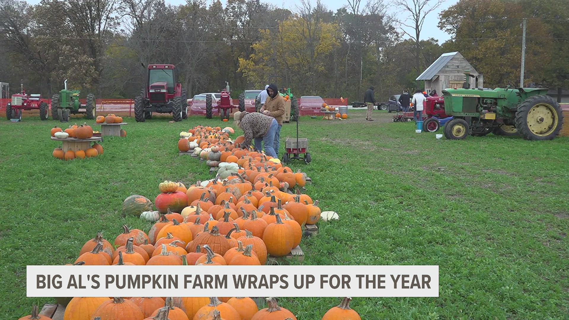 Big Al's Pumpkin Farm saw around 1,000 guests this year, hoping to connect more kids with agriculture.