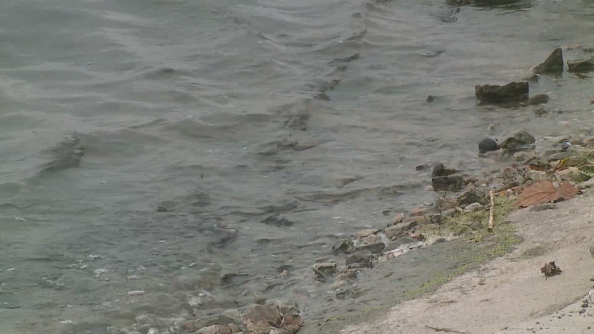 The complaint was filed against the city of East St. Louis claiming the city failed to stop illegal dumping of sewage into the Mississippi River.