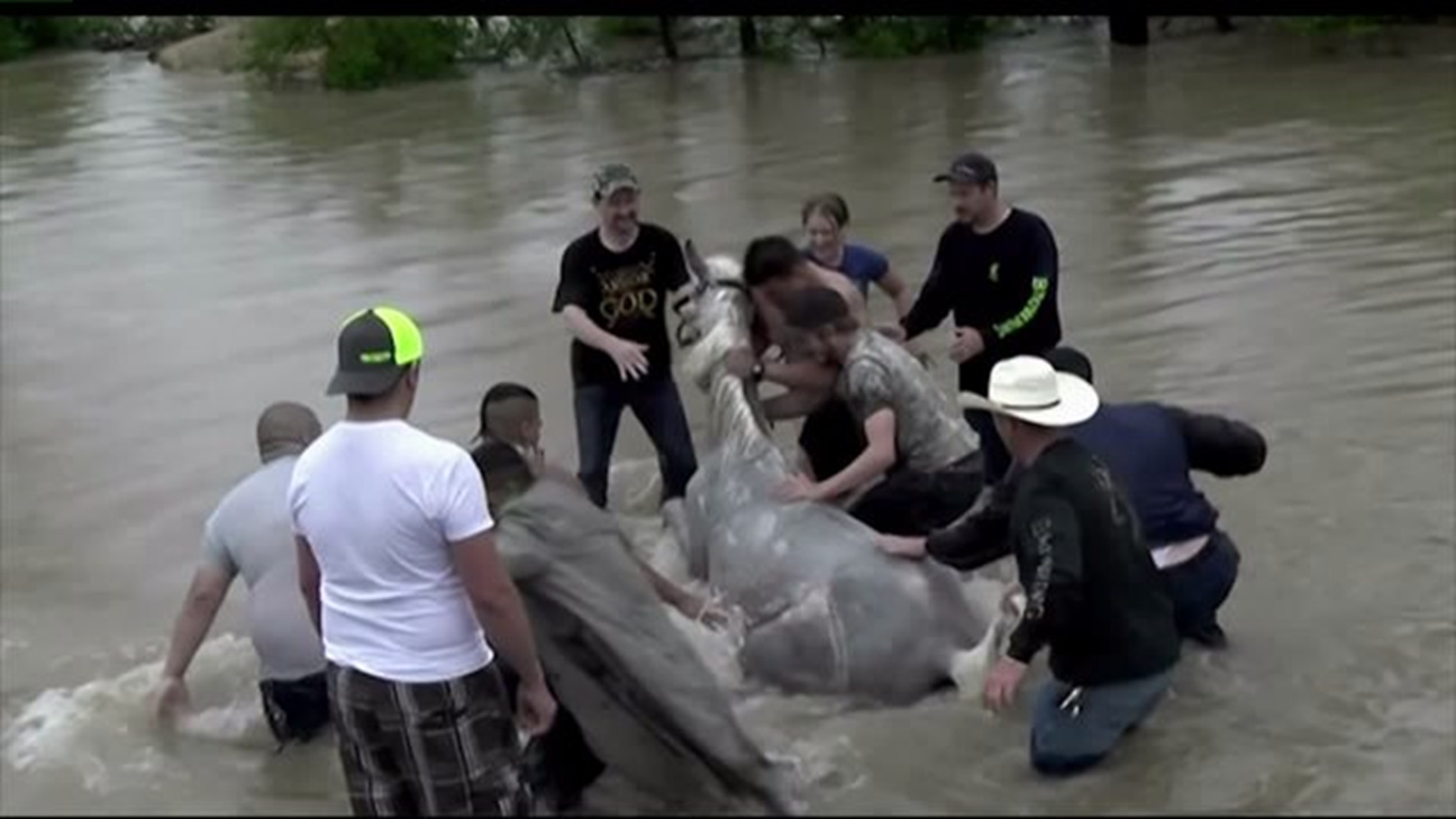 Lives lost in Texas flooding