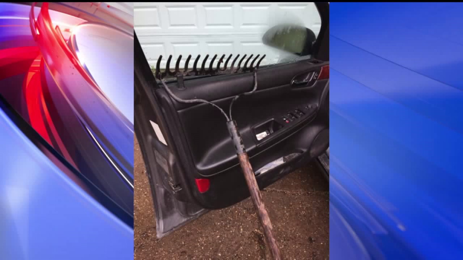 Woman finds snake in her car