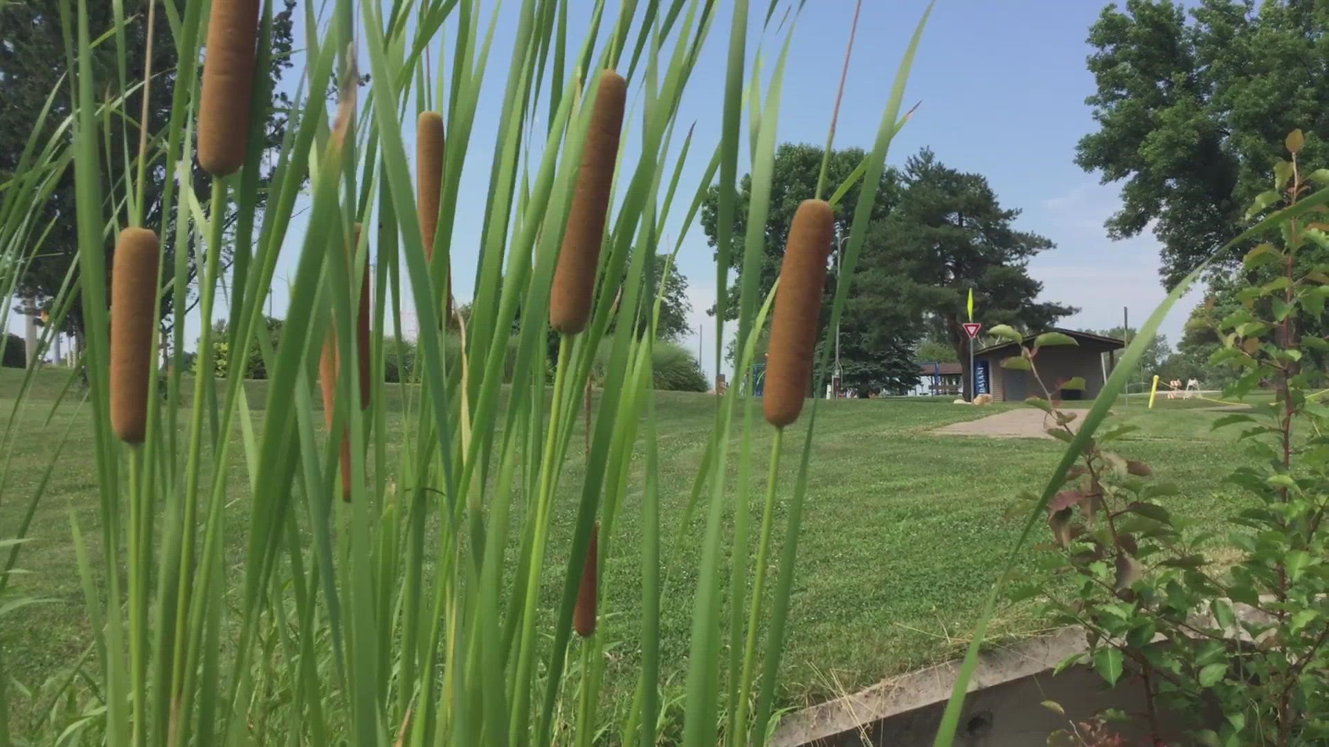 WQAD takes you through the multiple facilities that make Bettendorf's Crow Creek Park a great place for outdoor hobbyists.