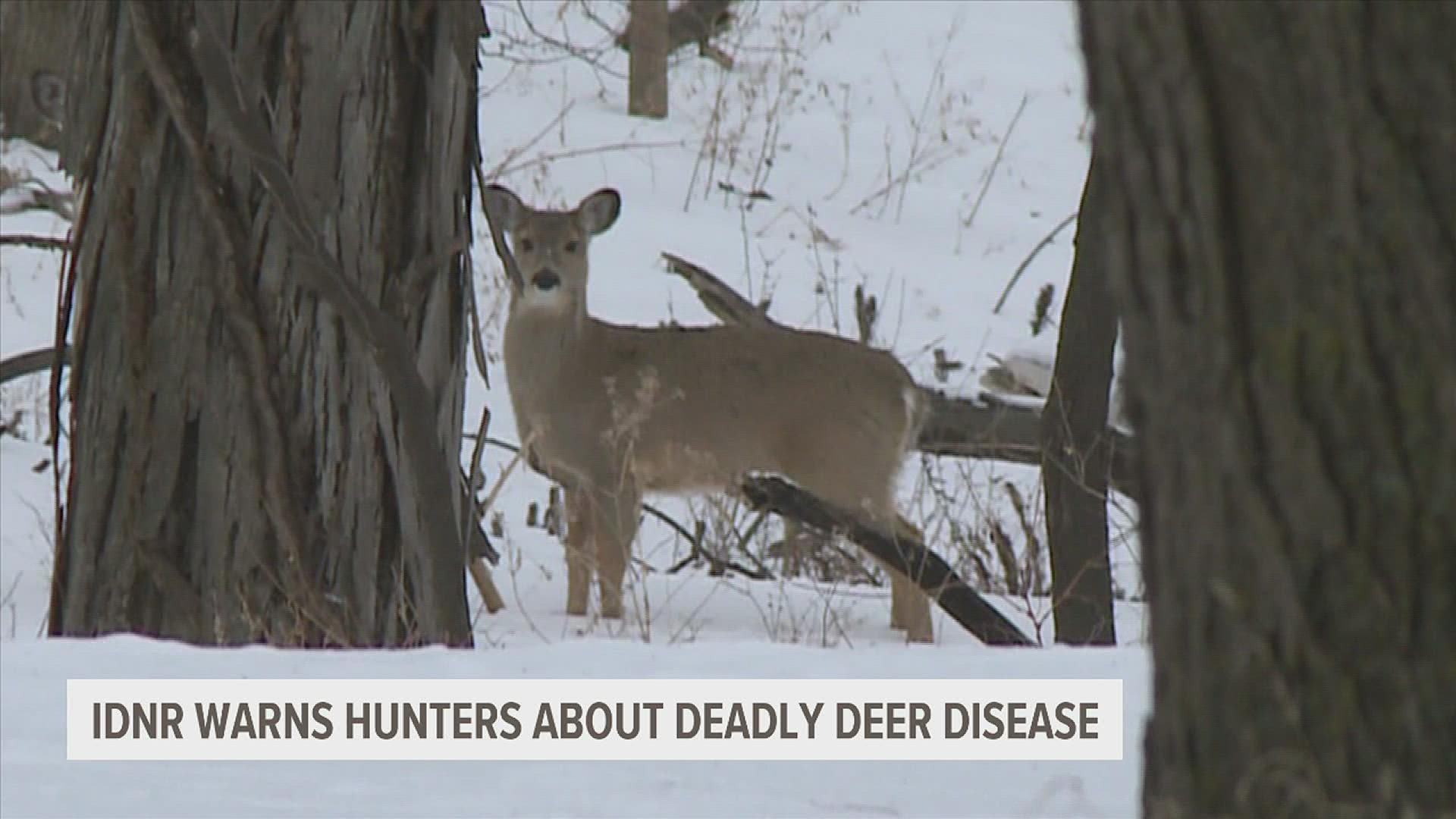 Since 2002, 150,000 deer have been tested for chronic waste disease and over 1,300 have tested positive.