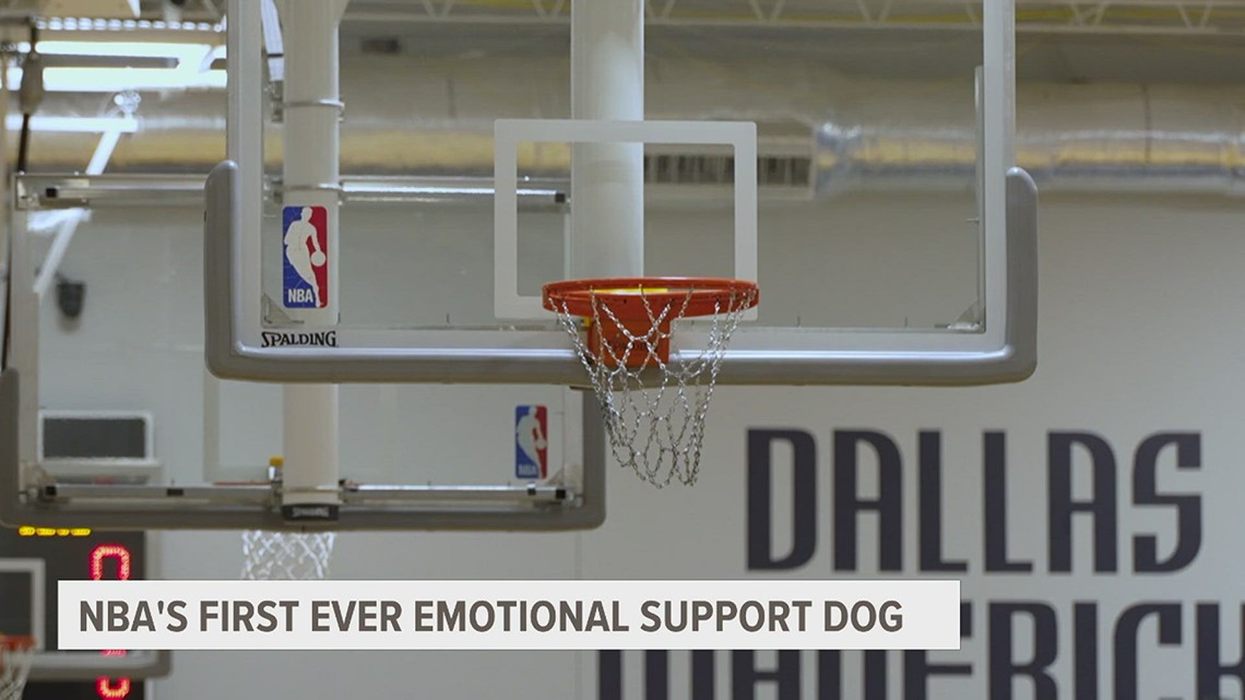 Dallas Mavericks Basketball team finds new way to relieve mental health ...