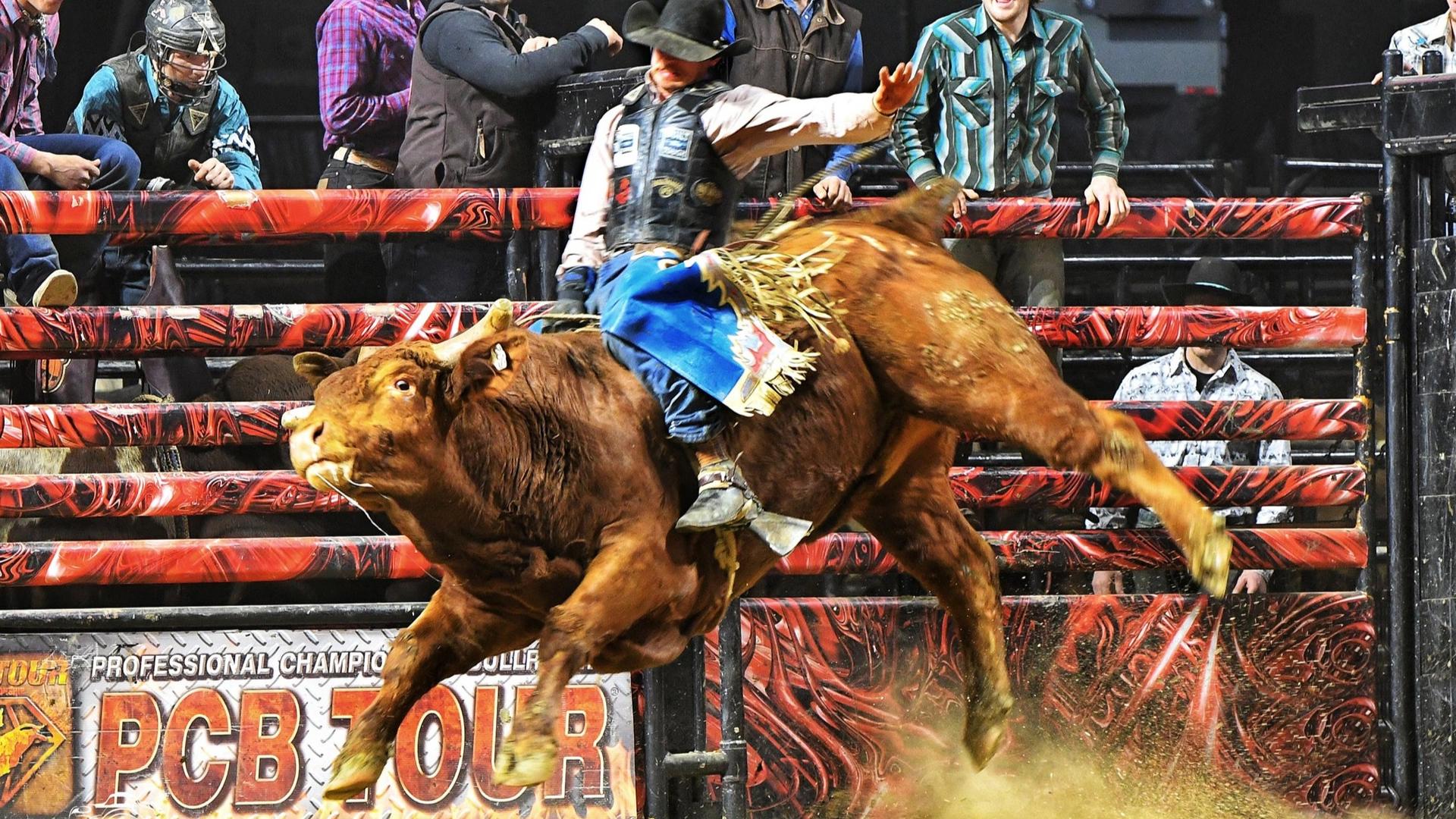 Professional Championship Bull Riders return to Vibrant Arena in ...