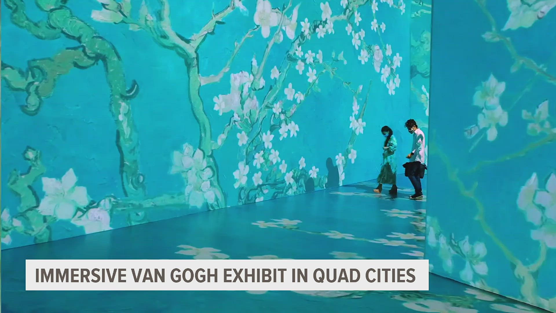 A "dreamlike" experience is waiting for Quad Citizens at this immersive exhibit at the RiverCenter.