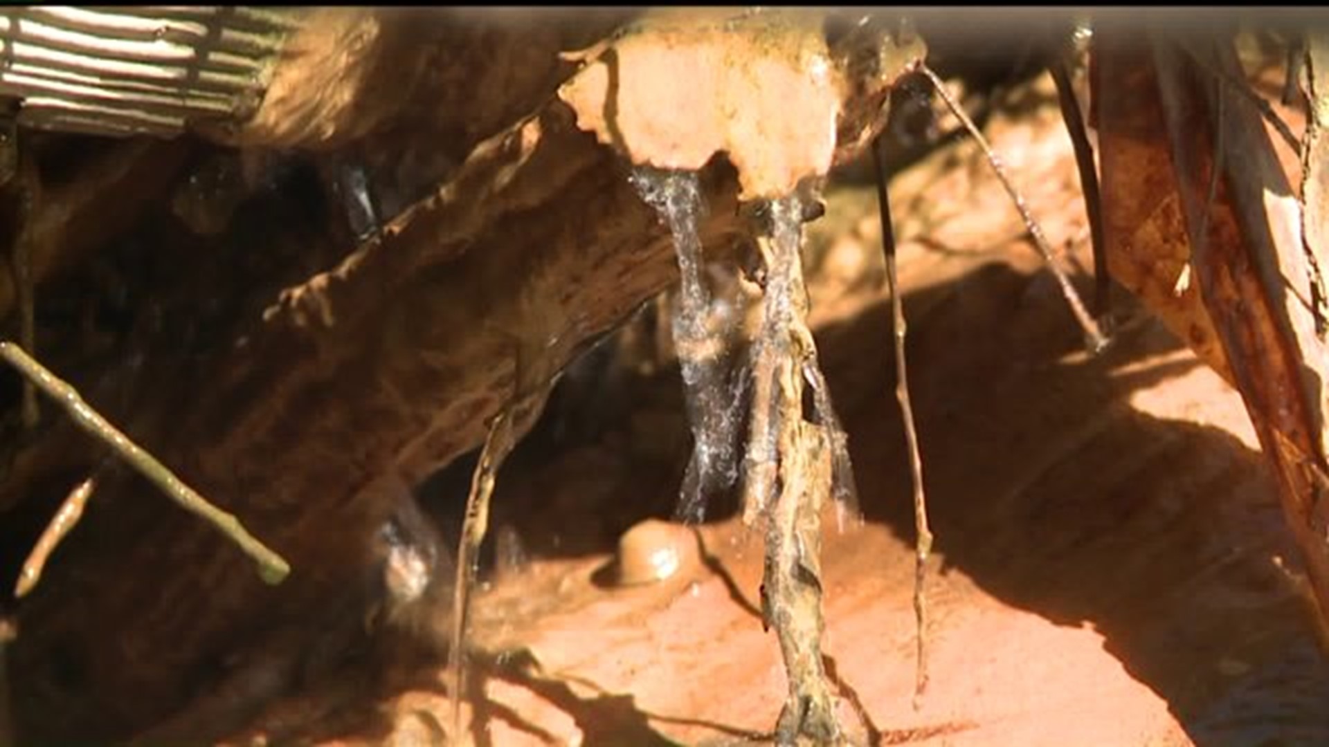 Collapsed sewer line sends untreated wastewater into local creeks