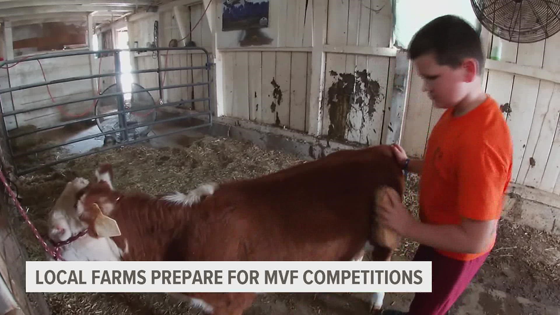 Cattle, rabbits and even homemade welding projects will be on display for viewing and judging at the 2022 Mississippi Valley Fair.