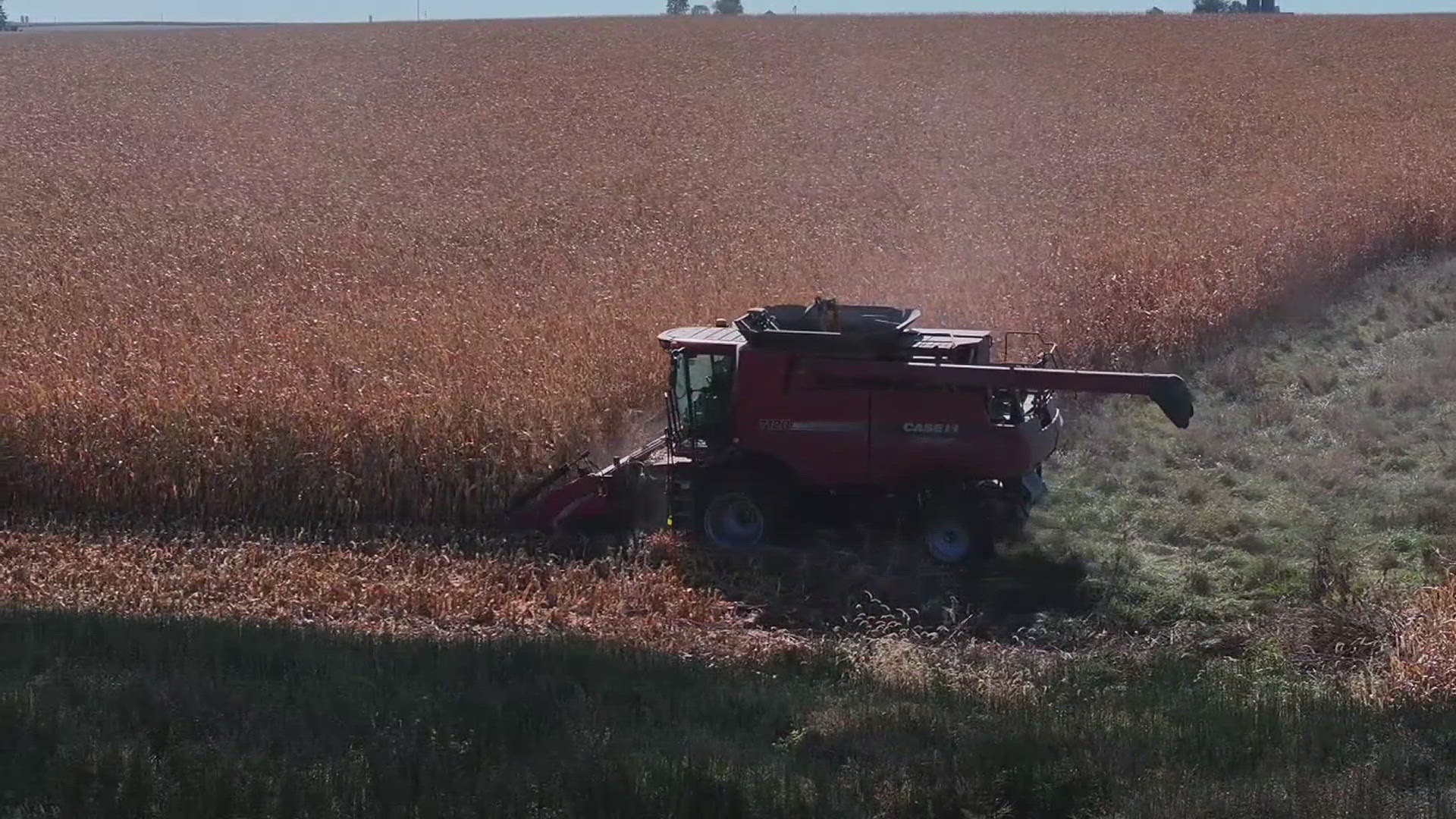 Whether it's a breakdown on their first day of corn harvest, or changing weather and commodity prices, the Lamp family is ready for all the variables of farming.