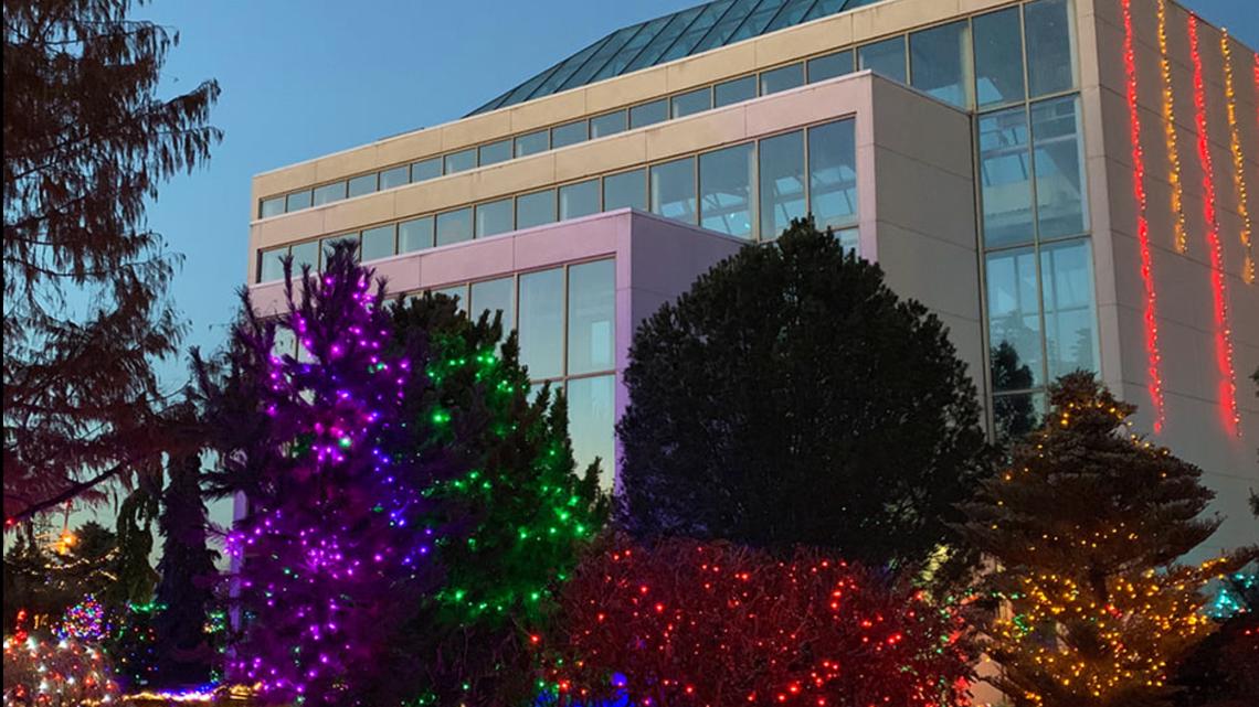 Quad City Botanical Center Gets Brighter for the Winter