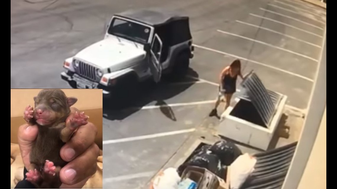 Woman caught on video tossing plastic bag full of puppies near dumpster(01)