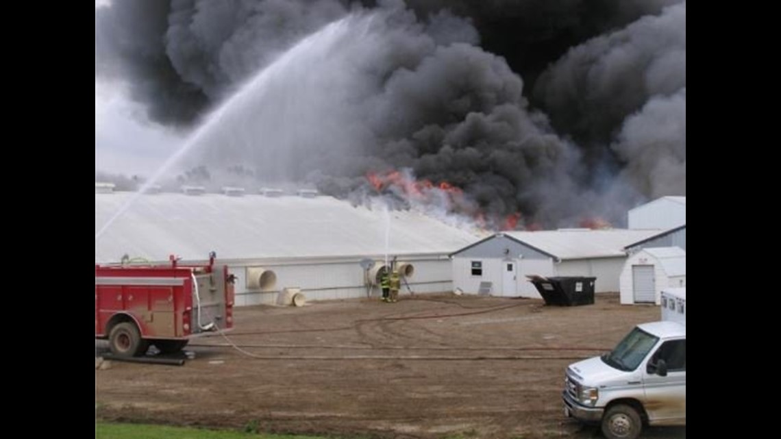 Heat lamp blamed for fire that killed thousands of hogs at confinement