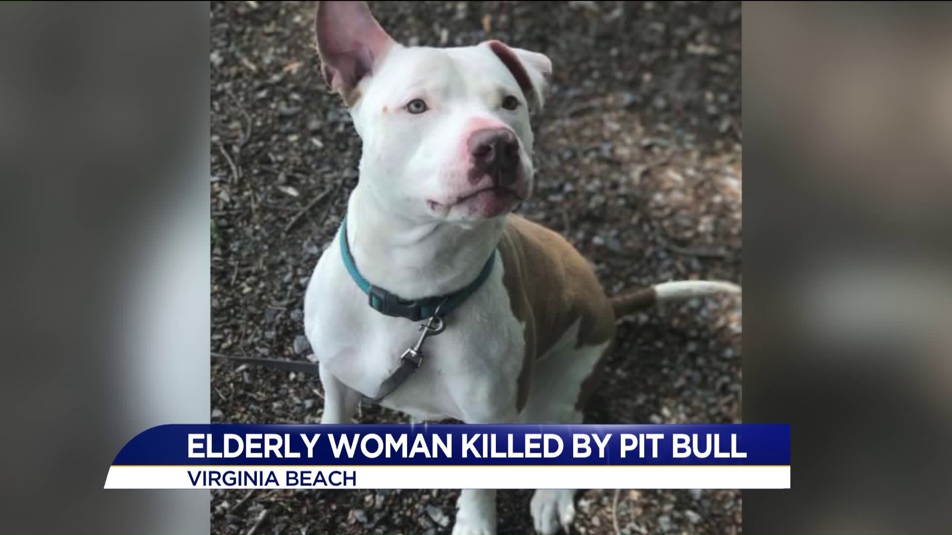Elderly Virginia woman dies after being attacked by adopted pit bull ...