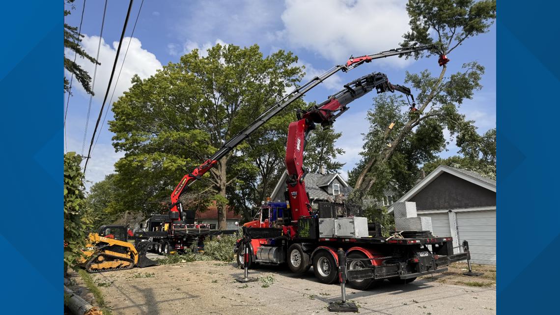 Quad City tree company removes falling tree, for free